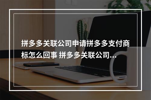 拼多多关联公司申请拼多多支付商标怎么回事 拼多多关联公司申请拼多多支付商标介绍