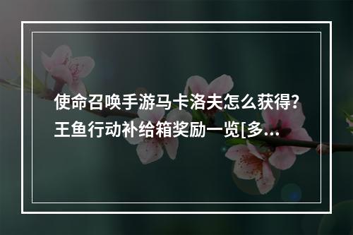 使命召唤手游马卡洛夫怎么获得？王鱼行动补给箱奖励一览[多图]