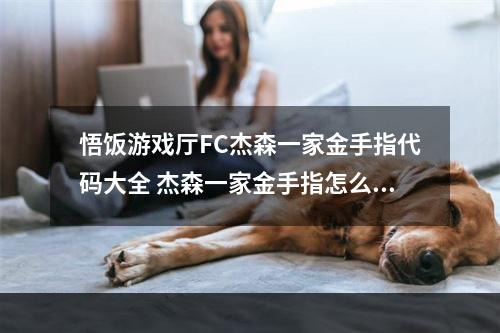 悟饭游戏厅FC杰森一家金手指代码大全 杰森一家金手指怎么开