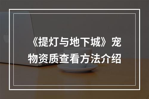 《提灯与地下城》宠物资质查看方法介绍