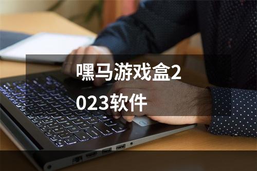 嘿马游戏盒2023软件