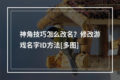 神角技巧怎么改名？修改游戏名字ID方法[多图]