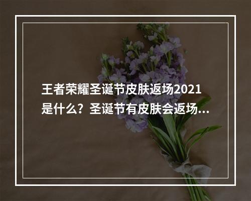 王者荣耀圣诞节皮肤返场2021是什么？圣诞节有皮肤会返场吗？[多图]