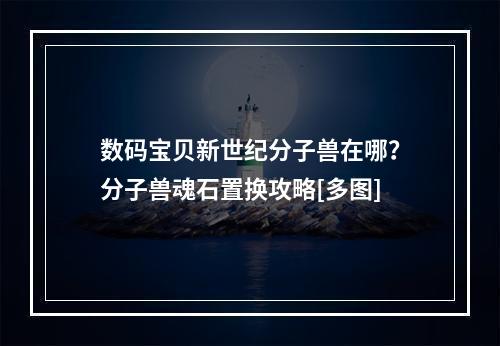 数码宝贝新世纪分子兽在哪？分子兽魂石置换攻略[多图]