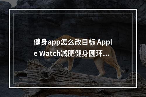 健身app怎么改目标 Apple Watch减肥健身圆环重新设置方法[多图]