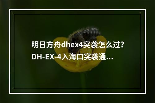 明日方舟dhex4突袭怎么过？DH-EX-4入海口突袭通过攻略[多图]