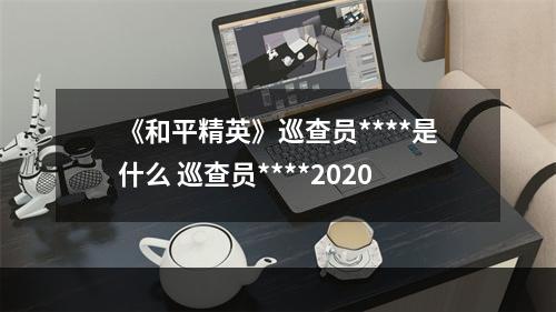 《和平精英》巡查员****是什么 巡查员****2020