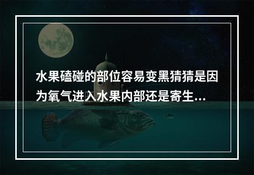 水果磕碰的部位容易变黑猜猜是因为氧气进入水果内部还是寄生虫污染