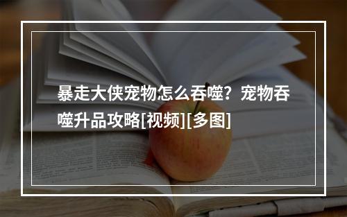 暴走大侠宠物怎么吞噬？宠物吞噬升品攻略[视频][多图]