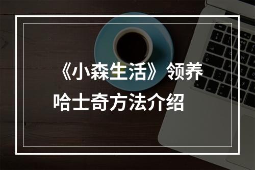 《小森生活》领养哈士奇方法介绍