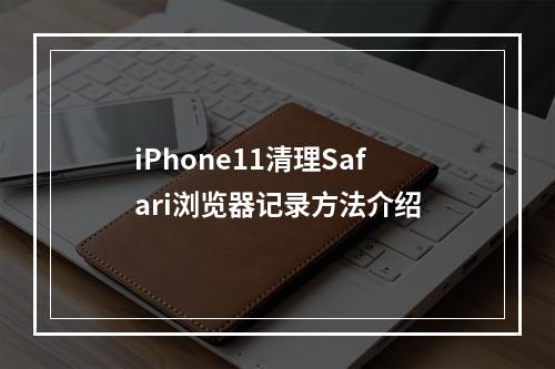 iPhone11清理Safari浏览器记录方法介绍