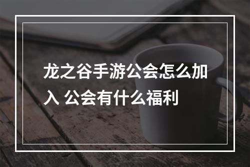 龙之谷手游公会怎么加入 公会有什么福利