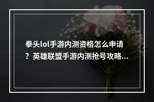 拳头lol手游内测资格怎么申请？英雄联盟手游内测抢号攻略[视频][多图]