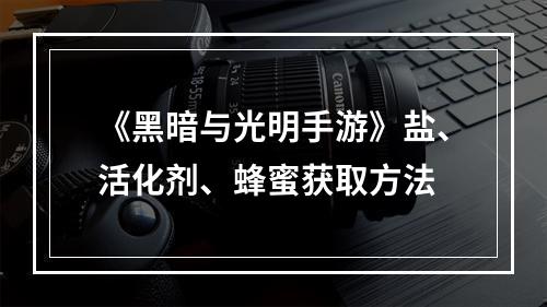 《黑暗与光明手游》盐、活化剂、蜂蜜获取方法