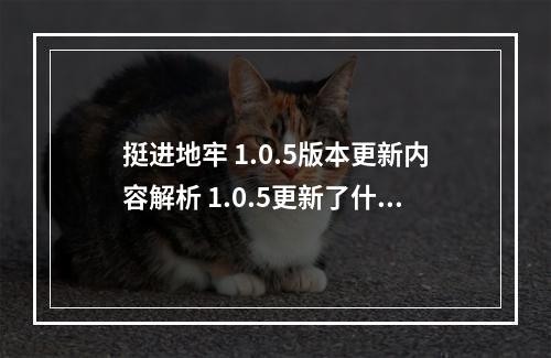 挺进地牢 1.0.5版本更新内容解析 1.0.5更新了什么