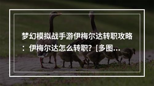 梦幻模拟战手游伊梅尔达转职攻略：伊梅尔达怎么转职？[多图]