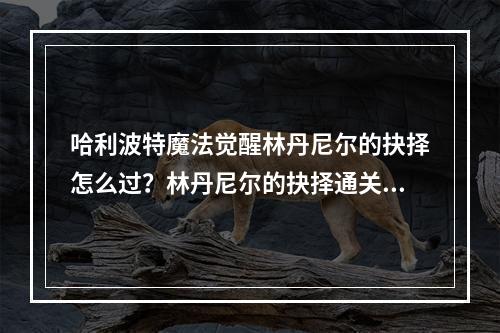 哈利波特魔法觉醒林丹尼尔的抉择怎么过？林丹尼尔的抉择通关攻略[多图]