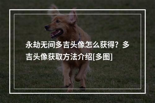 永劫无间多吉头像怎么获得？多吉头像获取方法介绍[多图]