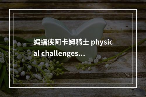 蝙蝠侠阿卡姆骑士 physical challenges带猫女攻略