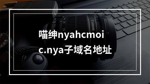 喵绅nyahcmoic.nya子域名地址