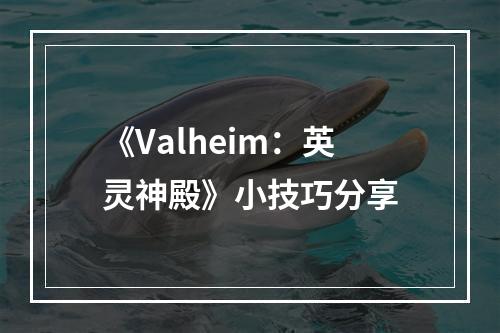 《Valheim：英灵神殿》小技巧分享