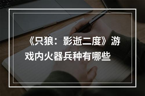 《只狼：影逝二度》游戏内火器兵种有哪些