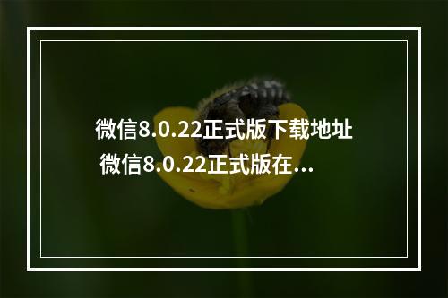 微信8.0.22正式版下载地址 微信8.0.22正式版在哪下载