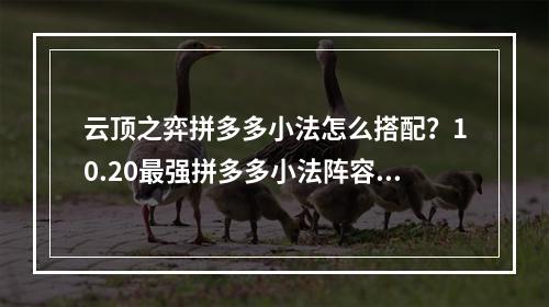 云顶之弈拼多多小法怎么搭配？10.20最强拼多多小法阵容推荐[多图]