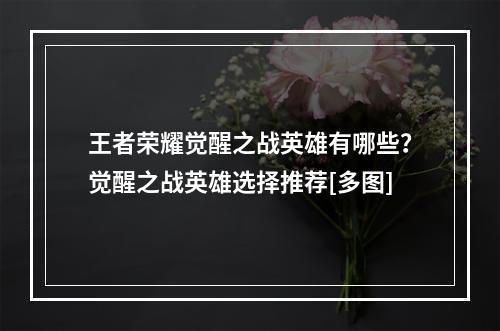 王者荣耀觉醒之战英雄有哪些？觉醒之战英雄选择推荐[多图]