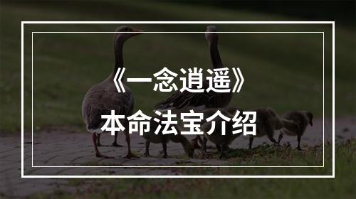 《一念逍遥》本命法宝介绍