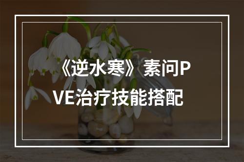 《逆水寒》素问PVE治疗技能搭配