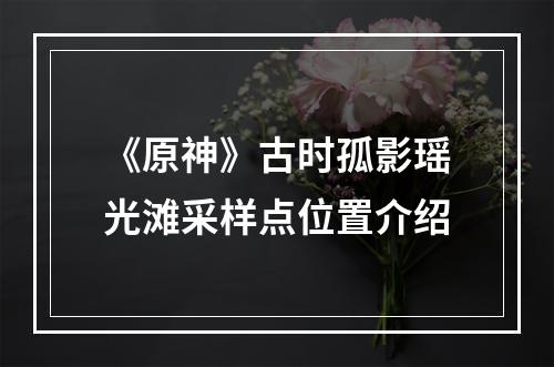 《原神》古时孤影瑶光滩采样点位置介绍