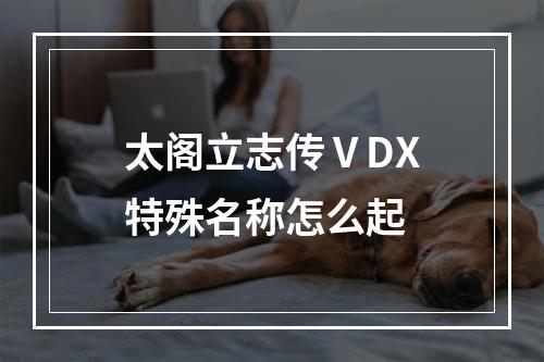 太阁立志传ⅤDX特殊名称怎么起