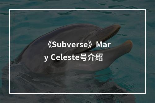 《Subverse》Mary Celeste号介绍