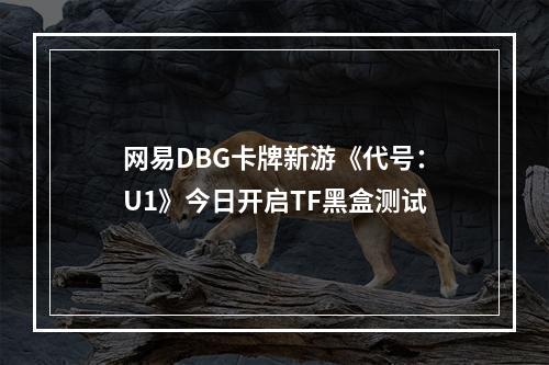 网易DBG卡牌新游《代号：U1》今日开启TF黑盒测试