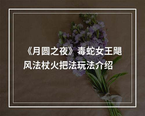 《月圆之夜》毒蛇女王飓风法杖火把法玩法介绍