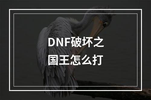 DNF破坏之国王怎么打