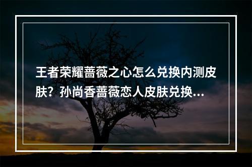 王者荣耀蔷薇之心怎么兑换内测皮肤？孙尚香蔷薇恋人皮肤兑换攻略[多图]