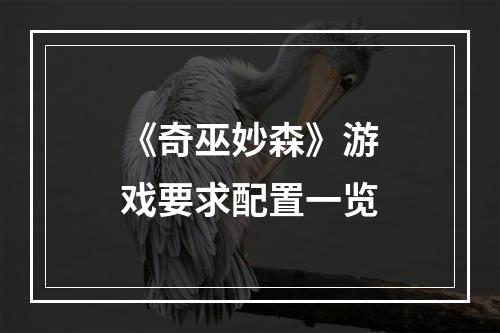 《奇巫妙森》游戏要求配置一览