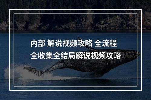 内部 解说视频攻略 全流程全收集全结局解说视频攻略