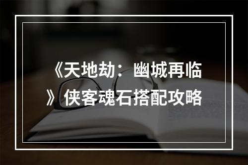 《天地劫：幽城再临》侠客魂石搭配攻略