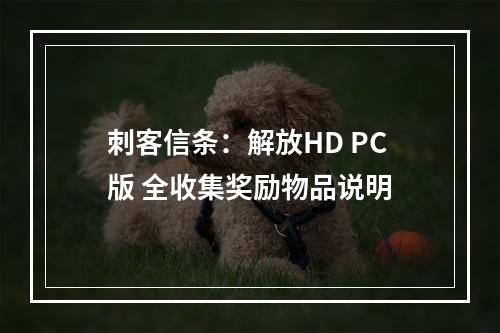 刺客信条：解放HD PC版 全收集奖励物品说明