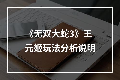 《无双大蛇3》王元姬玩法分析说明