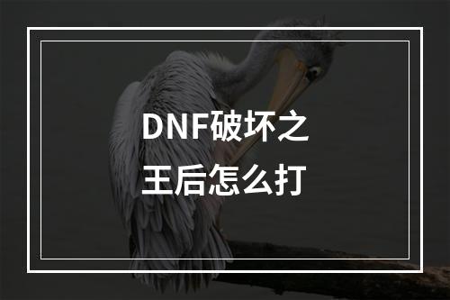 DNF破坏之王后怎么打