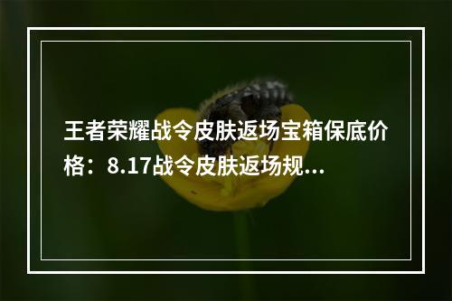 王者荣耀战令皮肤返场宝箱保底价格：8.17战令皮肤返场规则时间一览[多图]