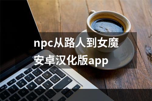 npc从路人到女魔安卓汉化版app