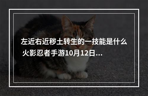 左近右近秽土转生的一技能是什么 火影忍者手游10月12日每日一题答案