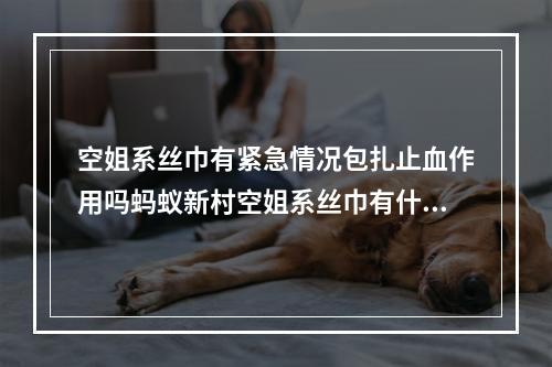 空姐系丝巾有紧急情况包扎止血作用吗蚂蚁新村空姐系丝巾有什么作用