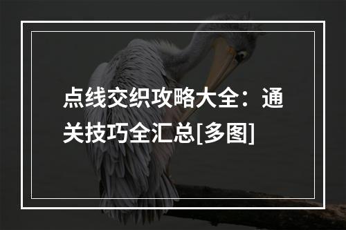 点线交织攻略大全：通关技巧全汇总[多图]