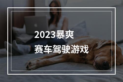 2023暴爽赛车驾驶游戏